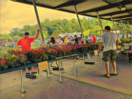 Oakland County Farmers Market