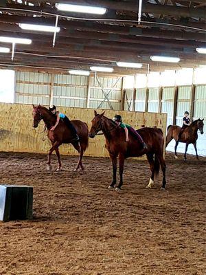 Me and my friend Caitlin had a bareback lesson together so fun