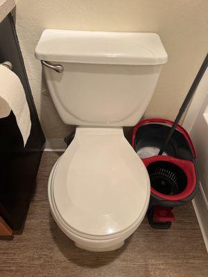 Cleaning and disinfection Toilet