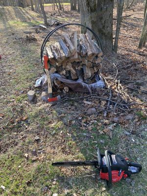 Fallen tree cut and split then stacked for customer