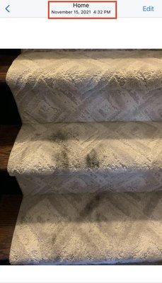 Grease stains on my new stair runner (with proof of date which matches the date they installed the units)