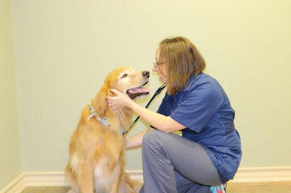 Care Pet Clinic Texarkana