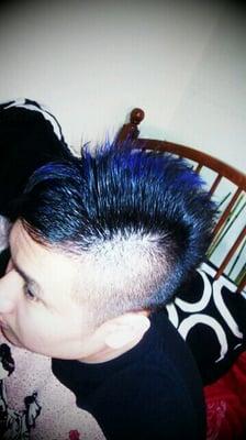 Blue tips and hawk by John.