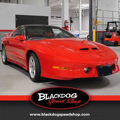 Blackdog Speed Shop