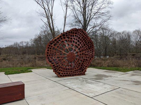 Stem in Marsh Park, Pineville