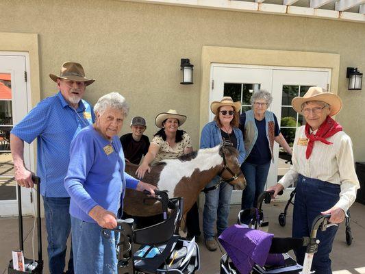 Pet therapy. One of the many activities they do.