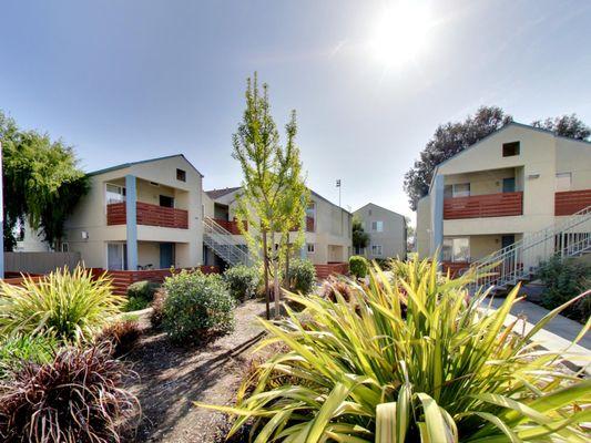 Garden-style apartments at Hampshire Apartments in Redwood City.