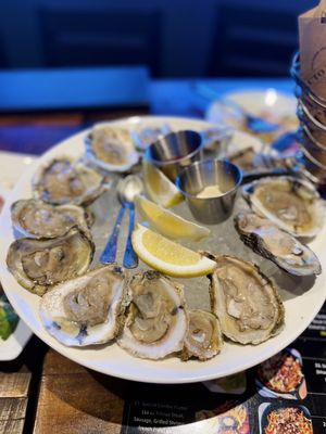 Oysters