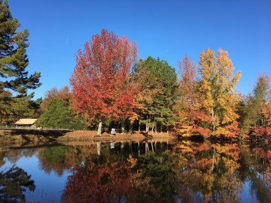 autumn colors on fishing pond