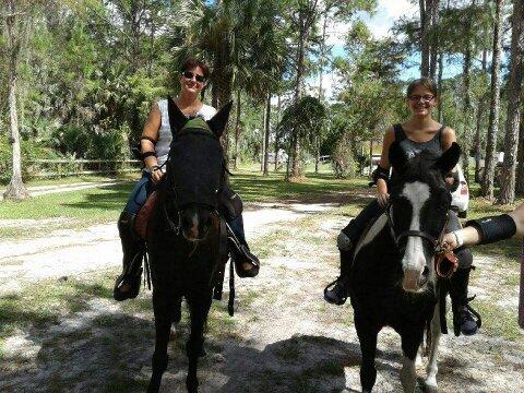 we love DOVE TREE STABLES..to board our horses..great knowledgeable staff...endless trails..clean place..HORSE LOVERS ONLY!