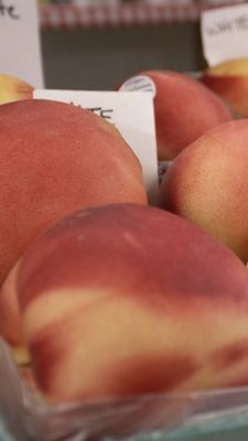 Fresh juicy peaches