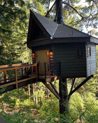 The treehouse 3