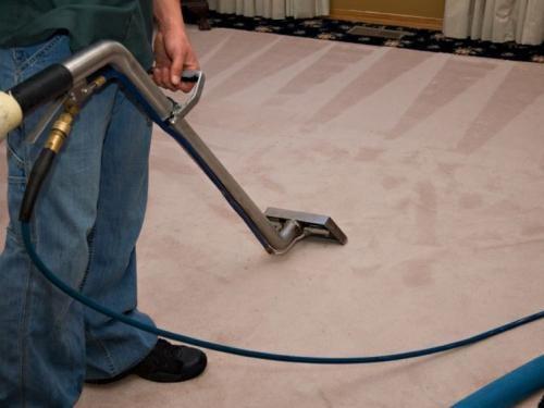 Steam Clean Carpets