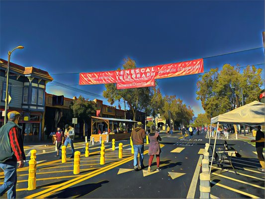 Temescal Street Fair