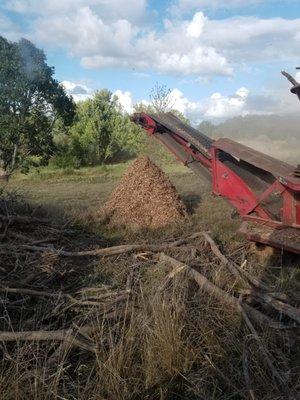 Wood chipper machine to grind trees and debris