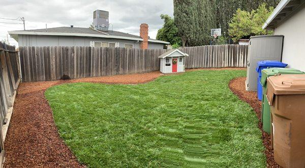 New grass and bark in backyard