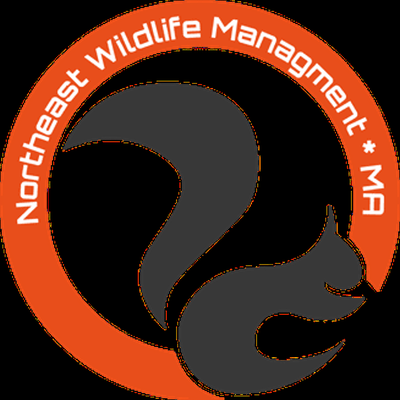 Northeast Wildlife Management