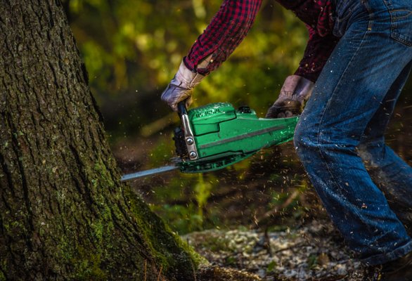 We Provide Tree cutting services from the trunk in quick time with the help of modern machinery.