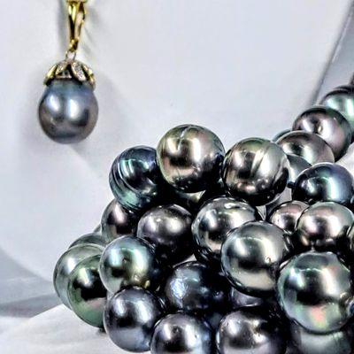 The Largest & Best selection of Pearls in The Keys!