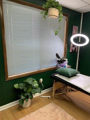 Epic ring light above the treatment table, with pretty foliage