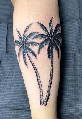 Palm trees