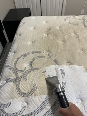 Mattress cleaning and sanitizing $120