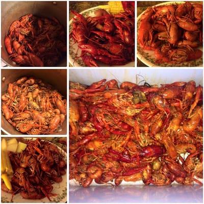 Broussard's Crawfish Farm