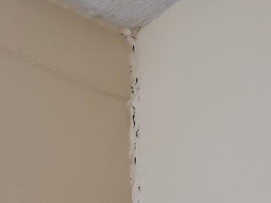 Separation of walls. Some corners have obvious signs where caulk was used to try to bridge the gaps in gobs & painted over.