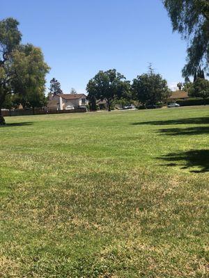 Grass fields on both sides