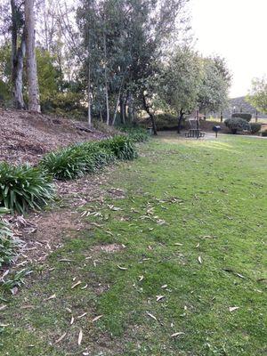 One of the grassy areas. It offers a grill, seating, and a doggy clean up post with bags.