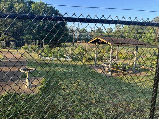 Community garden