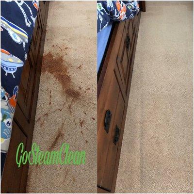 No ! My Soup! . At GoSteamClean we remove stains such soup, dirt , and urine stains