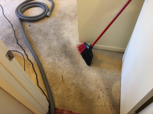 360 carpet cleaning 3BR $80 (270)392-9457