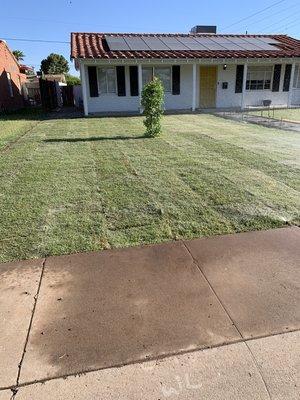 This lawn belongs to a client of ours who has his lawn maintained well and looking good!