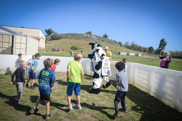 The chik-fil-a cow playing in the Gagaball Tournament during our 2K mud dash.