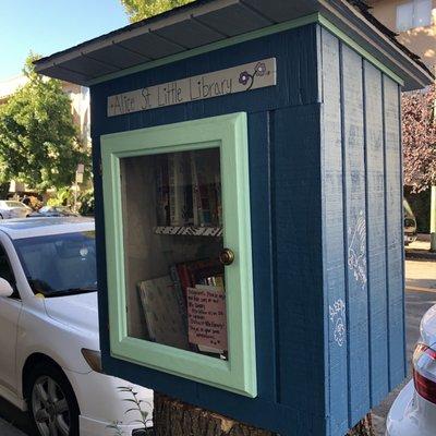 Blue library on tree stump