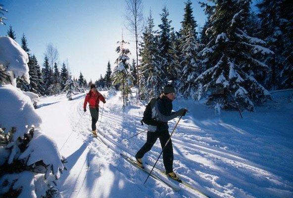 Cross country ski tours