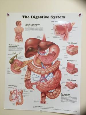 Santa Rosa Gastroenterology Medical Associates