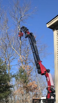 All-Pro Tree Service