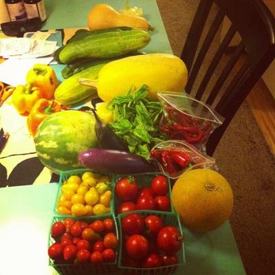 The bounty from the medium size CSA box!!