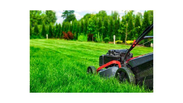 We offer weekly lawn care services.