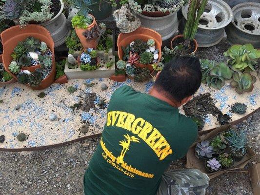 Setting up the Succulent Garden incorporating some old rims