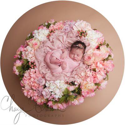 newborn photographer Baltimore