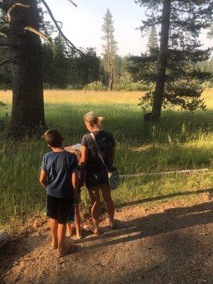 Info placards along the walking path tell the story of the Donner Party.