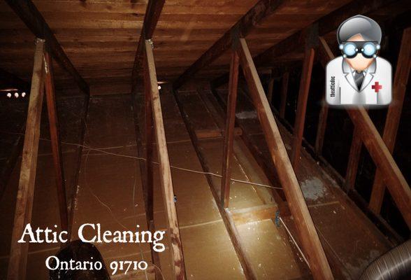 Attic Cleaning+Attic Insulation Removal-Insulation Contractor-Doctor Energy Star-The Attic Doctors