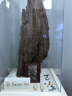 A piece of the tree where Boo Radley would leave gifts