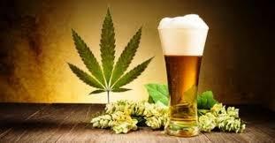 Budz & Brews Tour starting at $59 per person