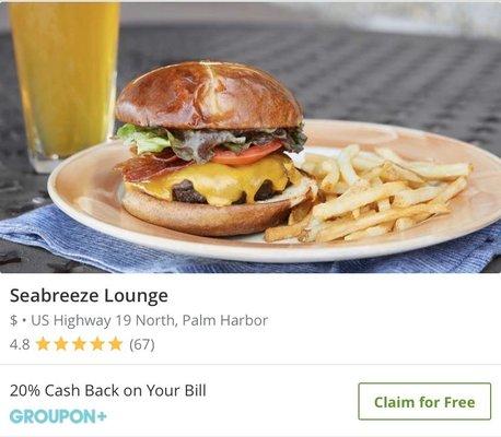 Feb 2020 Palm Harbor: 20% Cash Back w/ Groupon