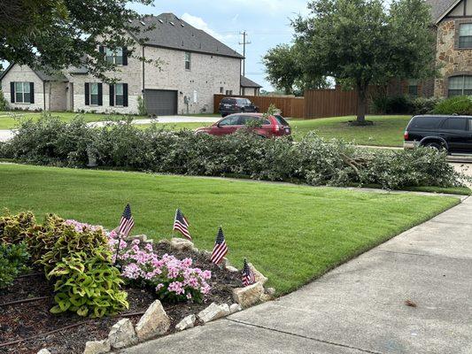 Tree trimmings and garden waste, removed by DFW Junk Removal