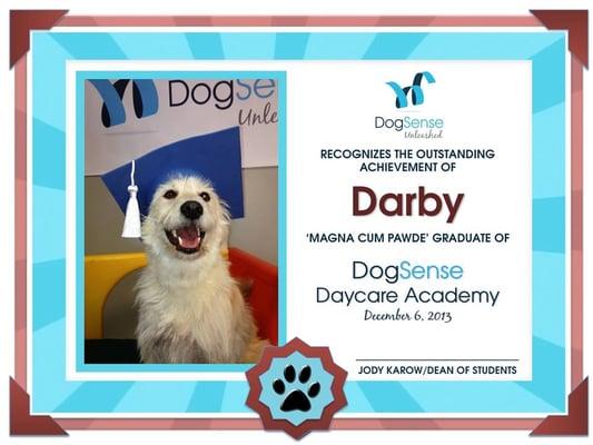 Dog School Graduate MN